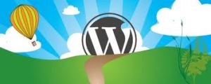 wordpress services support